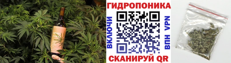 где купить наркотик  Заволжск  ОМГ ОМГ рабочий сайт  Еда ТГК конопля 